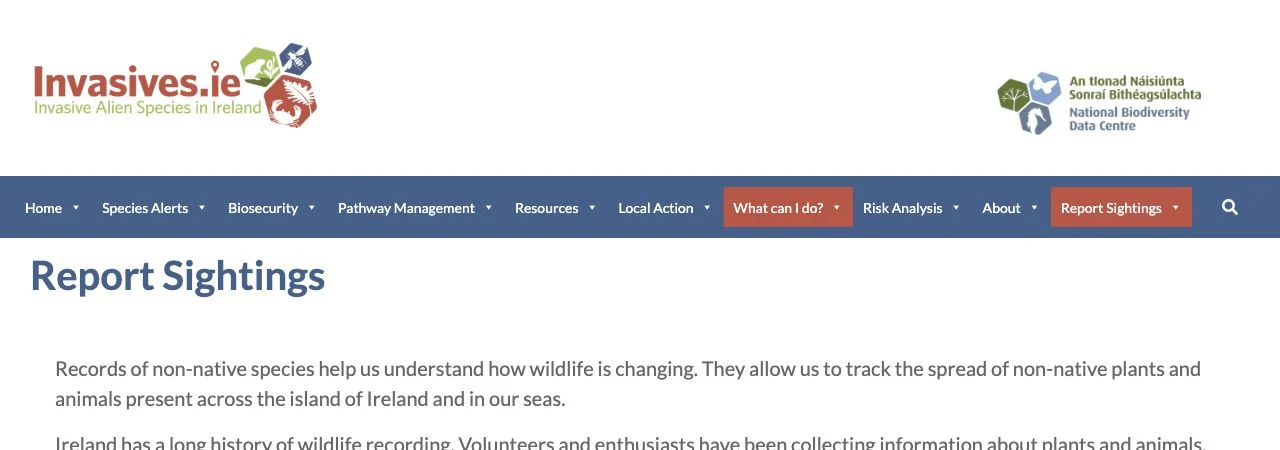 Suspected invasive species: report the sighting without spreading it
