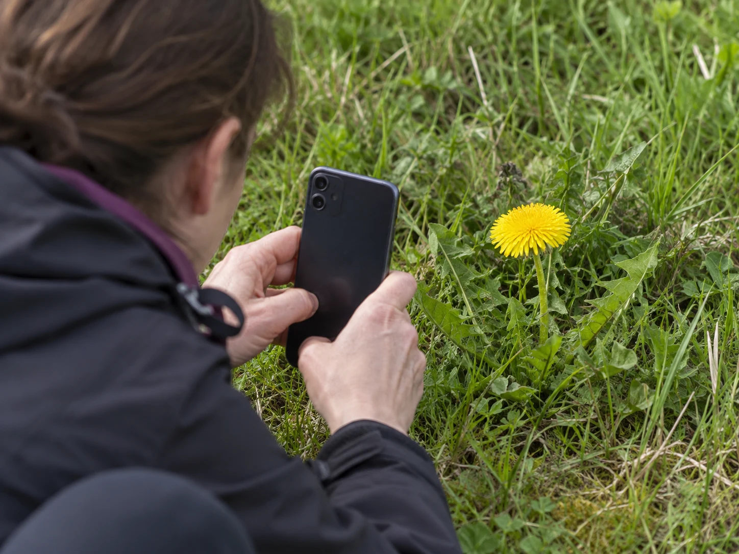 A wildlife sighting researchers can use: check the four essentials