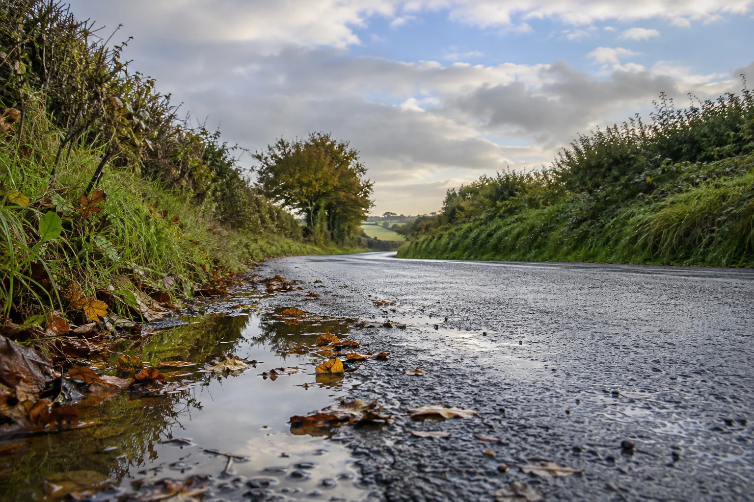 Ireland’s weather on 15 October: rain clears southeast, with a cooler weekend ahead