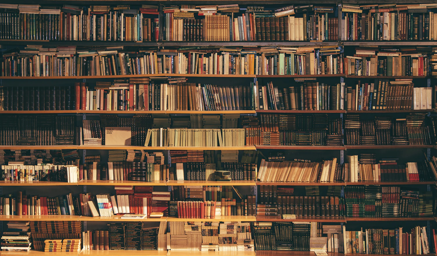 Your local library: a small card with a lot of possibility