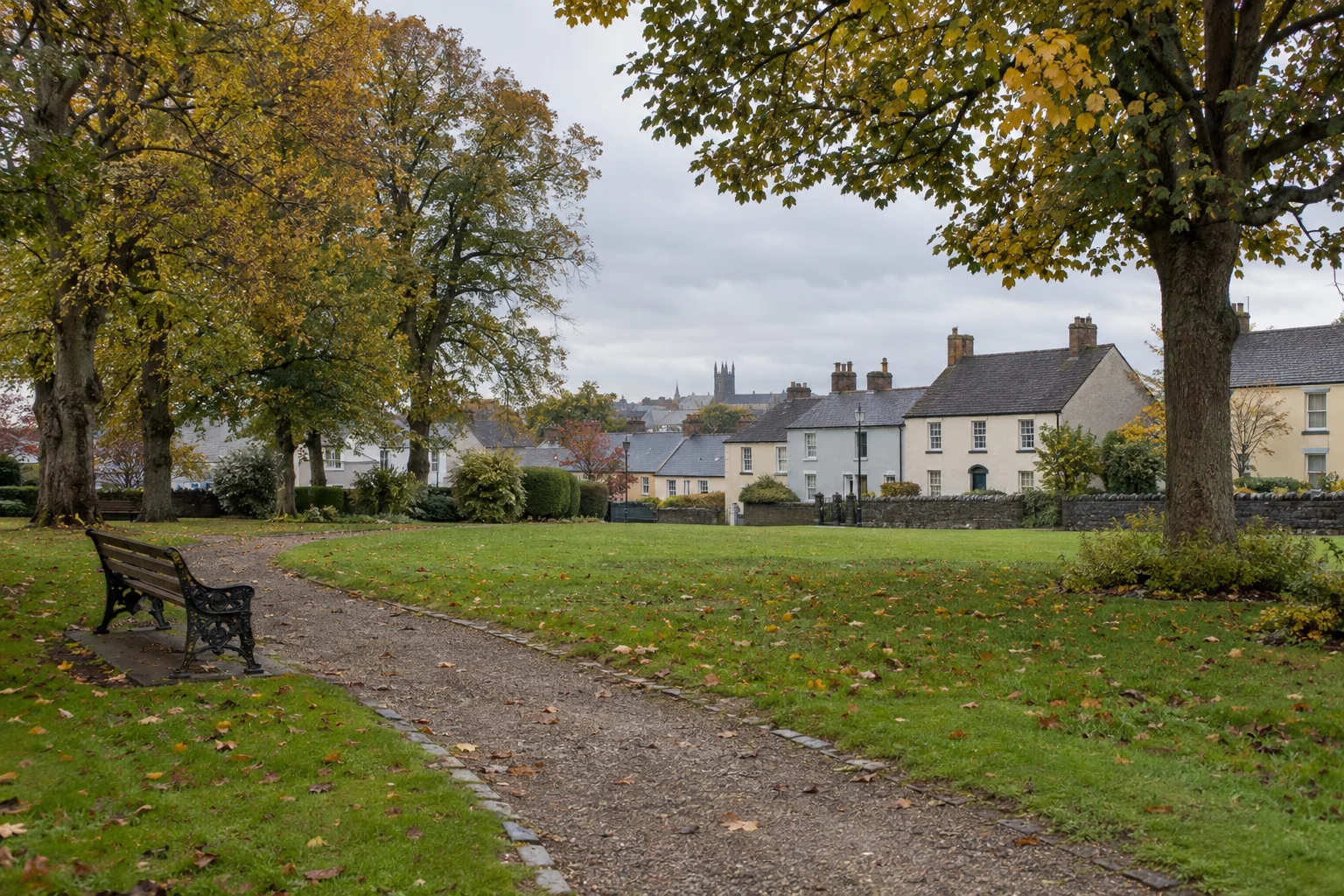 Mountmellick’s Smiths Field survey: turn a local observation into useful feedback